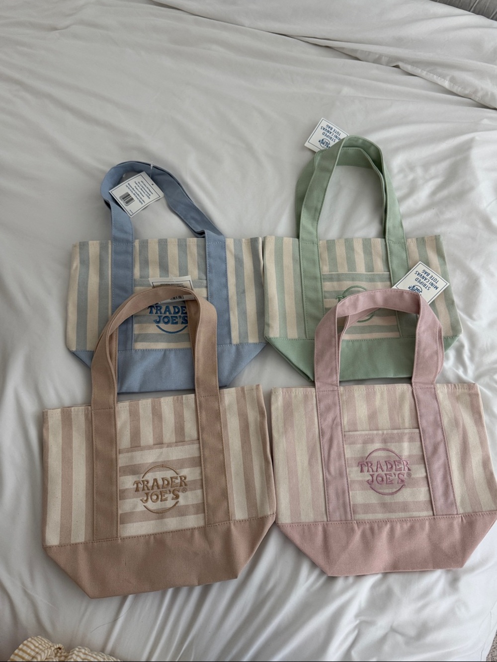 Trader Joe’s Pastel Striped Canvas Tote - Pink, Blue, Green, Beige